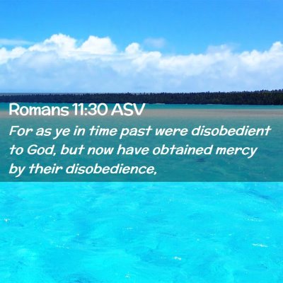 Picture 02 - Romans 11:30 ASV - For as ye in time past were disobedient to God, - Bible Verse Picture
