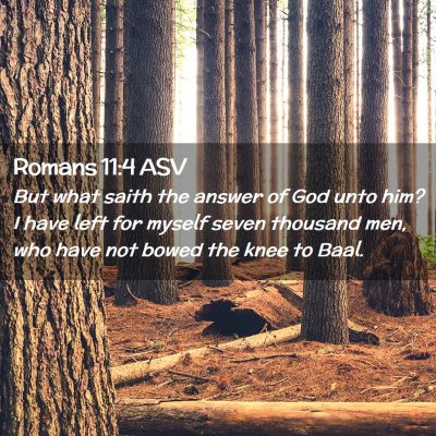 Picture 02 - Romans 11:4 ASV - But what saith the answer of God unto him? I have - Bible Verse Picture