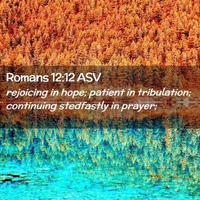 Picture 02 - Romans 12:12 ASV - rejoicing in hope; patient in tribulation; - Bible Verse Picture