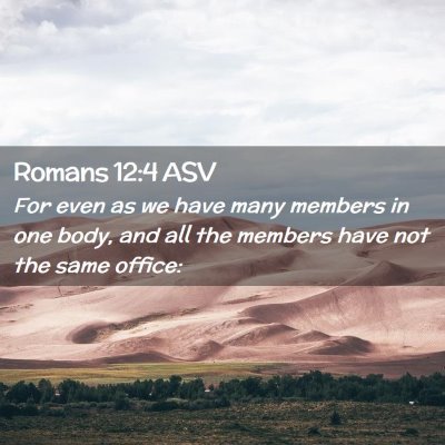 Picture 02 - Romans 12:4 ASV - For even as we have many members in one body, and - Bible Verse Picture