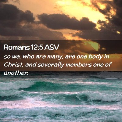 Picture 02 - Romans 12:5 ASV - so we, who are many, are one body in Christ, and - Bible Verse Picture