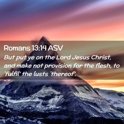 Picture 02 - Romans 13:14 ASV - But put ye on the Lord Jesus Christ, and make not - Bible Verse Picture
