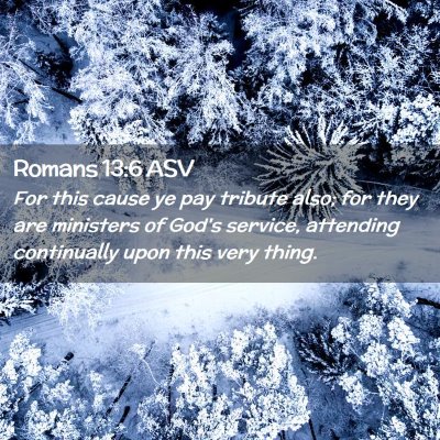 Picture 02 - Romans 13:6 ASV - For this cause ye pay tribute also; for they are - Bible Verse Picture