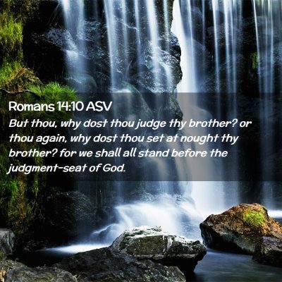 Picture 02 - Romans 14:10 ASV - But thou, why dost thou judge thy brother? or - Bible Verse Picture