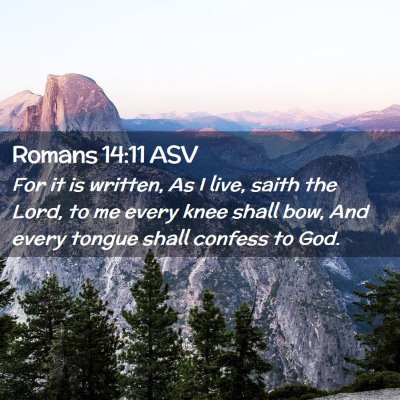 Picture 02 - Romans 14:11 ASV - For it is written, As I live, saith the Lord, to - Bible Verse Picture