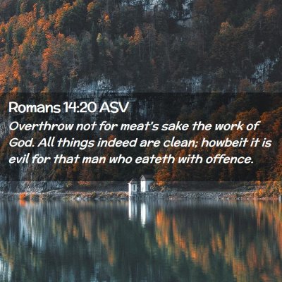 Picture 02 - Romans 14:20 ASV - Overthrow not for meat's sake the work of God. - Bible Verse Picture