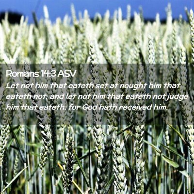 Picture 02 - Romans 14:3 ASV - Let not him that eateth set at nought him that - Bible Verse Picture
