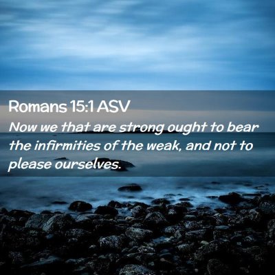Picture 02 - Romans 15:1 ASV - Now we that are strong ought to bear the - Bible Verse Picture