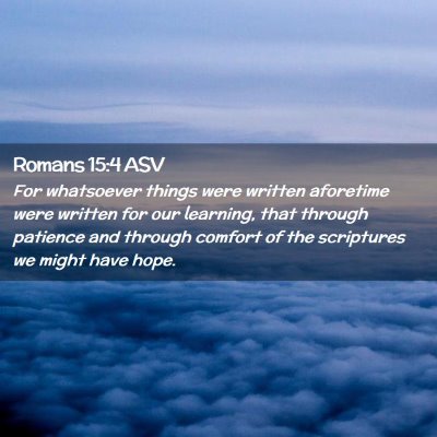 Picture 02 - Romans 15:4 ASV - For whatsoever things were written aforetime were - Bible Verse Picture