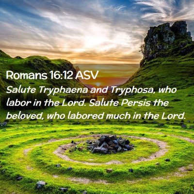Picture 02 - Romans 16:12 ASV - Salute Tryphaena and Tryphosa, who labor in the - Bible Verse Picture