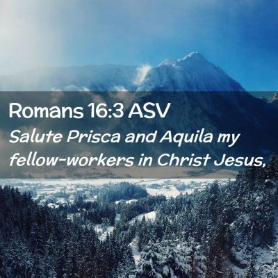 Picture 02 - Romans 16:3 ASV - Salute Prisca and Aquila my fellow-workers in - Bible Verse Picture