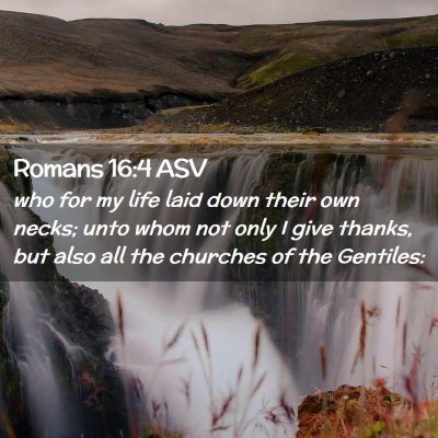 Picture 02 - Romans 16:4 ASV - who for my life laid down their own necks; unto - Bible Verse Picture