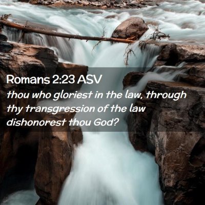 Picture 02 - Romans 2:23 ASV - thou who gloriest in the law, through thy - Bible Verse Picture