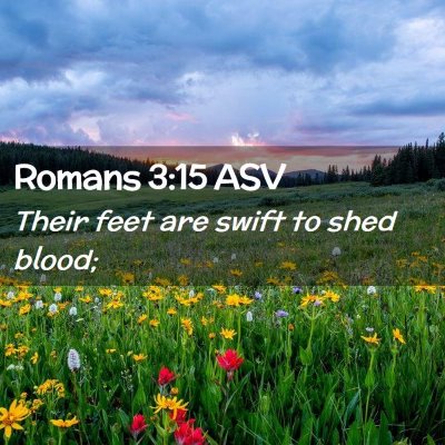Picture 02 - Romans 3:15 ASV - Their feet are swift to shed - Bible Verse Picture