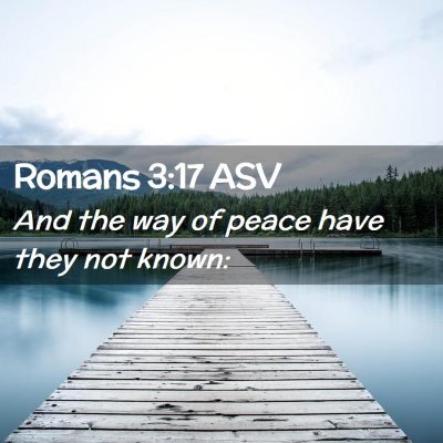 Picture 02 - Romans 3:17 ASV - And the way of peace have they not - Bible Verse Picture