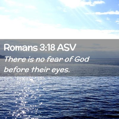 Picture 02 - Romans 3:18 ASV - There is no fear of God before their - Bible Verse Picture