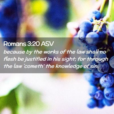 Picture 02 - Romans 3:20 ASV - because by the works of the law shall no flesh be - Bible Verse Picture