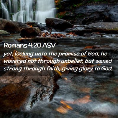 Picture 02 - Romans 4:20 ASV - yet, looking unto the promise of God, he wavered - Bible Verse Picture