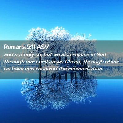 Picture 02 - Romans 5:11 ASV - and not only so, but we also rejoice in God - Bible Verse Picture