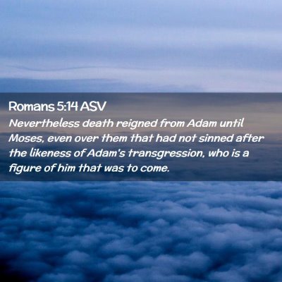 Picture 02 - Romans 5:14 ASV - Nevertheless death reigned from Adam until Moses, - Bible Verse Picture