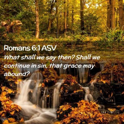 Picture 02 - Romans 6:1 ASV - What shall we say then? Shall we continue in sin, - Bible Verse Picture