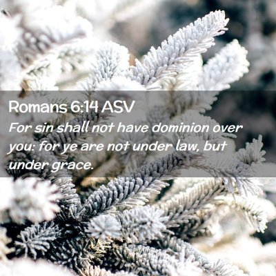 Picture 02 - Romans 6:14 ASV - For sin shall not have dominion over you: for ye - Bible Verse Picture
