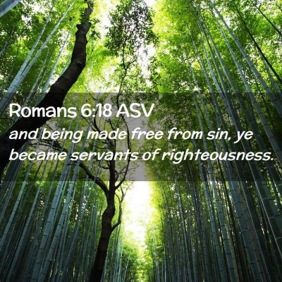 Picture 02 - Romans 6:18 ASV - and being made free from sin, ye became servants - Bible Verse Picture
