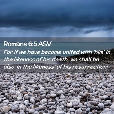 Picture 02 - Romans 6:5 ASV - For if we have become united with `him' in the - Bible Verse Picture
