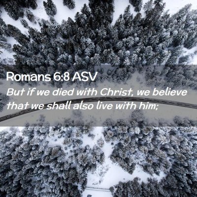 Picture 02 - Romans 6:8 ASV - But if we died with Christ, we believe that we - Bible Verse Picture