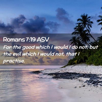 Picture 02 - Romans 7:19 ASV - For the good which I would I do not: but the evil - Bible Verse Picture