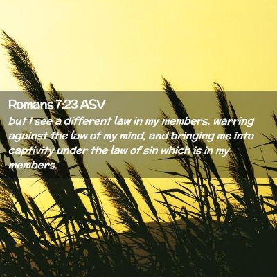 Picture 02 - Romans 7:23 ASV - but I see a different law in my members, warring - Bible Verse Picture
