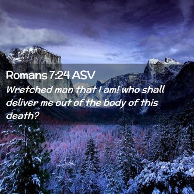 Picture 02 - Romans 7:24 ASV - Wretched man that I am! who shall deliver me out - Bible Verse Picture
