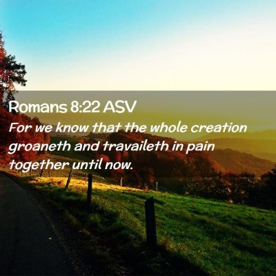 Picture 02 - Romans 8:22 ASV - For we know that the whole creation groaneth and - Bible Verse Picture