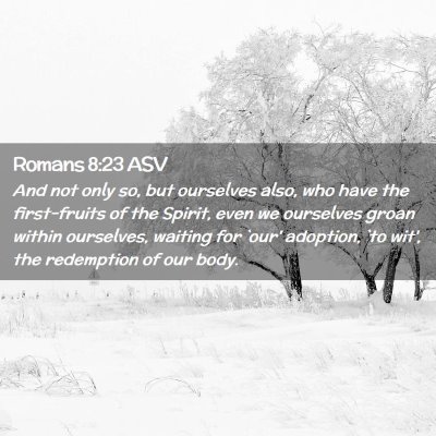 Picture 02 - Romans 8:23 ASV - And not only so, but ourselves also, who have the - Bible Verse Picture