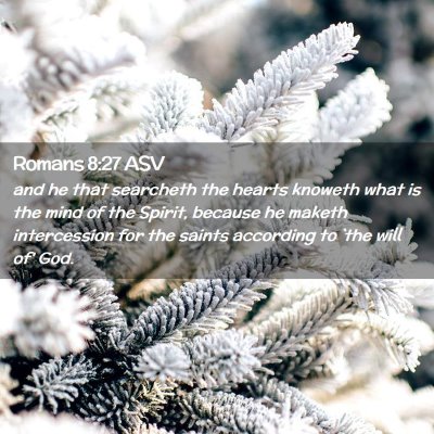 Picture 02 - Romans 8:27 ASV - and he that searcheth the hearts knoweth what is - Bible Verse Picture