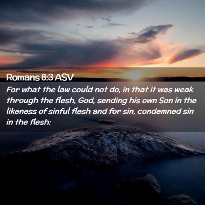Picture 02 - Romans 8:3 ASV - For what the law could not do, in that it was - Bible Verse Picture