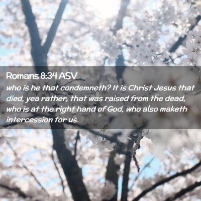 Picture 02 - Romans 8:34 ASV - who is he that condemneth? It is Christ Jesus - Bible Verse Picture