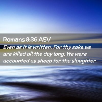 Picture 02 - Romans 8:36 ASV - Even as it is written, For thy sake we are killed - Bible Verse Picture