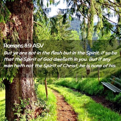 Picture 02 - Romans 8:9 ASV - But ye are not in the flesh but in the Spirit, if - Bible Verse Picture