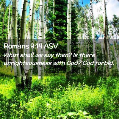 Picture 02 - Romans 9:14 ASV - What shall we say then? Is there unrighteousness - Bible Verse Picture