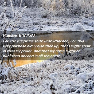 Picture 02 - Romans 9:17 ASV - For the scripture saith unto Pharaoh, For this - Bible Verse Picture