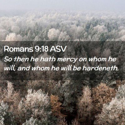Picture 02 - Romans 9:18 ASV - So then he hath mercy on whom he will, and whom - Bible Verse Picture