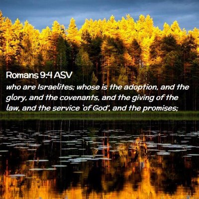 Picture 02 - Romans 9:4 ASV - who are Israelites; whose is the adoption, and - Bible Verse Picture