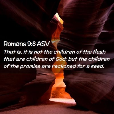 Picture 02 - Romans 9:8 ASV - That is, it is not the children of the flesh that - Bible Verse Picture