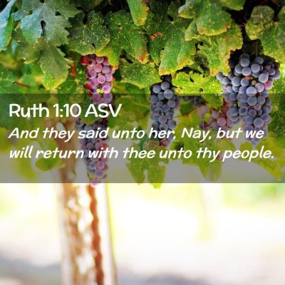 Picture 02 - Ruth 1:10 ASV - And they said unto her, Nay, but we will return - Bible Verse Picture