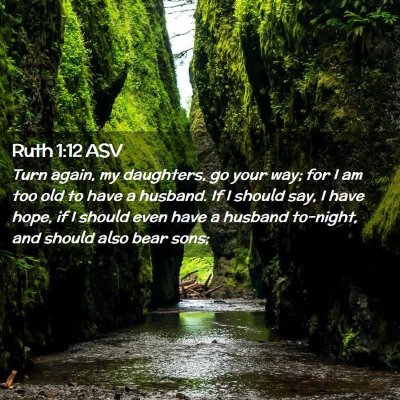 Picture 02 - Ruth 1:12 ASV - Turn again, my daughters, go your way; for I am - Bible Verse Picture