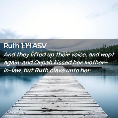 Picture 02 - Ruth 1:14 ASV - And they lifted up their voice, and wept again: - Bible Verse Picture