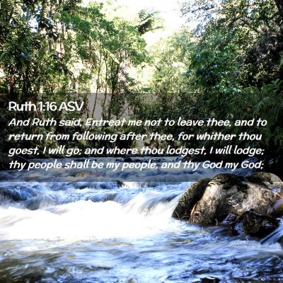 Picture 02 - Ruth 1:16 ASV - And Ruth said, Entreat me not to leave thee, and - Bible Verse Picture