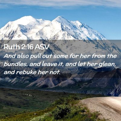 Picture 02 - Ruth 2:16 ASV - And also pull out some for her from the bundles, - Bible Verse Picture