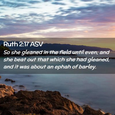 Picture 02 - Ruth 2:17 ASV - So she gleaned in the field until even; and she - Bible Verse Picture